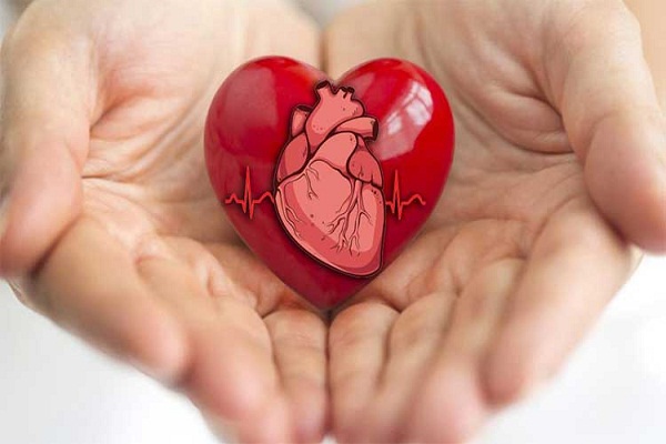 Healthy Hearts Webinar Series (April -May 2022): 04 – Eating Heart Healthy